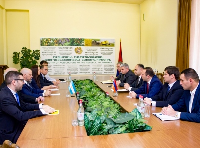 Արգենտինական պատվիրակության հետ քննարկվել է ՀՀ-ում ժամանակակից փորձացուցադրական տնտեսություն հիմնելու հարցը