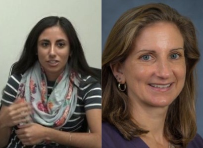 2 Armenian Americans win seats in Michigan and Maryland legislatures
