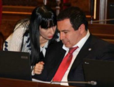 Newspaper: Prosperous Armenia Party women are concerned