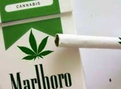 Marlboro ծխախոտի արտադրողը մարիխուանա կաճեցնի