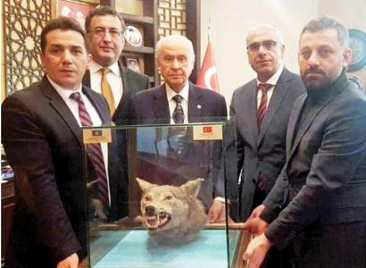 Թուրք ազգայնականների ղեկավարին գայլի գլուխ են նվիրել