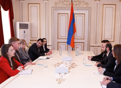 Ararat Mirzoyan receives representatives of NDI and IRI Armenia