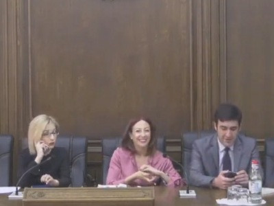 Important to study Georgia track-record in judicial reforms, Armenia MP says