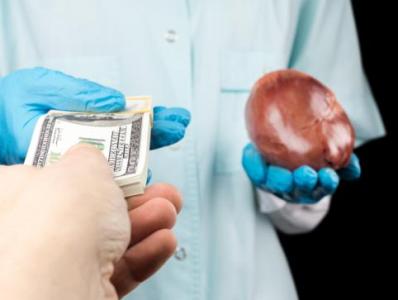 UN speaks about human organs trafficking in world
