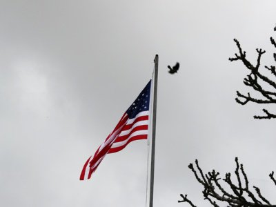 Top US trade official: WTO playbook is outdated