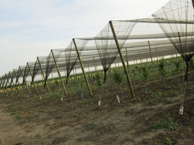 «ՀՀ-ում կարկտապաշտպան ցանցերի արտադրության ոլորտում մրցակցություն կա». նոր արտոնություն՝ «ՎԱԲԱ» ընկերությանը