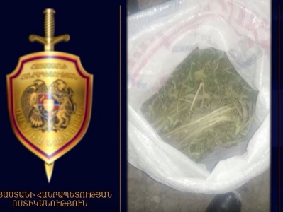 Ոստիկանները բնակարան են խուզարկել․ մեծ քանակությամբ կանեփ է հայտնաբերվել