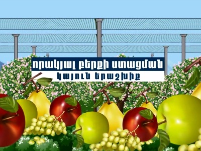 Նոր ծրագիր. Կարկտապաշտպան ցանցերի ներդրման համար վարկեր կարելի է ձեռք բերել 2 տոկոսով. Գյուղնախարարություն