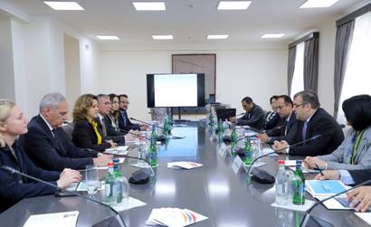 Armenia MFA introduces WHO Regional Office for Europe Director candidate to European ambassadors
