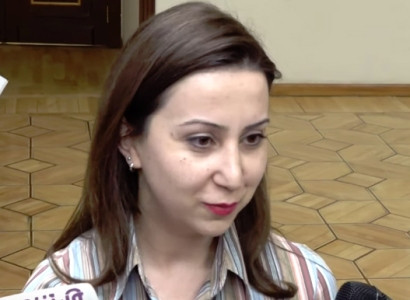 «Իմ քայլի» պատգամավորը համաձայն չէ Դավիթ Սանասարյանի հետ