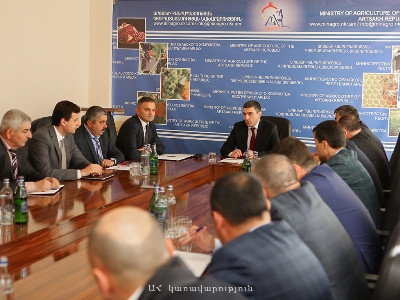 Կաթնամթերքի արտադրության շուկան պետության աջակցության կարիքն ունի. պետնախարարը խորհրդակցություն է հրավիրել