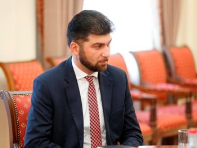 Davit Sanasaryan: Result of State Oversight Service's study of sensational topic