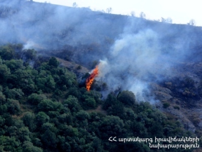 Երկու օրում երեք հրդեհ․ Սեւանի ճանապարհին, Գյումրիում, Արթիկում 1,2 հեկտար խոտածածկ տարածք է այրվել
