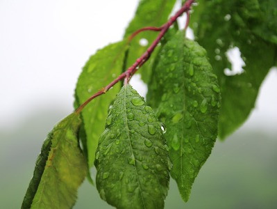 Եղանակը Հայաստանում