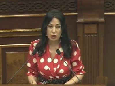 Շունն ու կատուն էլ եք քաղաքականացնում եւ ուզում եք, որ անպայման դա ներկայացված լինի «Իմ քայլի» կողմից. Նաիրա Զոհրաբյան