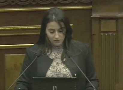 Նազենի Ղարիբյանը ֆինանսավորել է այն մարդկանց, ովքեր Օպերայի դեմ բողոք են գրել . Աննա Կոստանյան