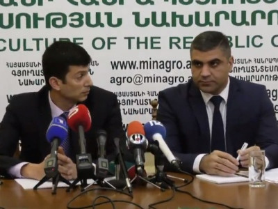 «Խելացի» անասնաշենքերը կառուցվելու են անկապ բոքսային պահվածքով, կենդանին ազատ շրջելու է. Գյուղնախարարություն