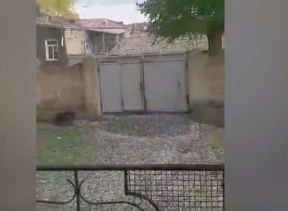 «Էնքան շատ էր, որ մինչեւ հիմա չի հալել». կես ժամ տեւած կարկուտը վնասել է Գավառ քաղաքի բերքը (ֆոտո)