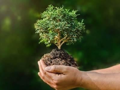 Հունիսի 5-ին նշվում է Շրջակա միջավայրի համաշխարհային օրը
