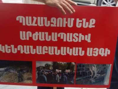 «Հեսա կբերի մի քանի տեսակի կենդանիներ, եւ բոլորի աչքին «թոզ կփչի». կենդանասերների բողոքի ակցիան ավարտվեց