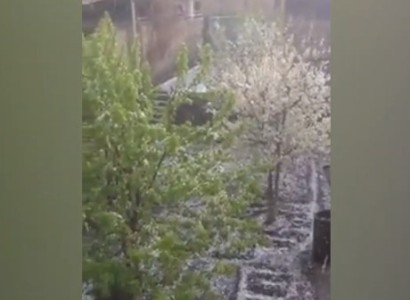 Կարկուտը 1 րոպեում 1 տարվա աշխատանքը կարող է ջուրը գցել․ Գեղարքունիքում մտահոգված են