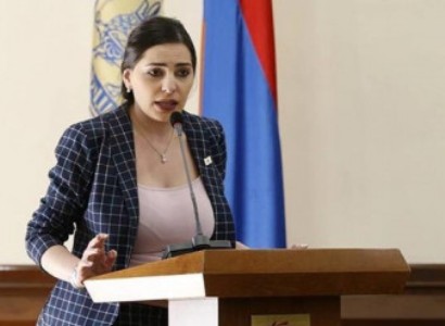 Եթե չապացուցեիք, թե ես որ կետում եմ դոշ տվել, ուրեմն հրապարակային ներողություն կխնդրեք. Թեհմինա Վարդանյանը՝ Մարությանին