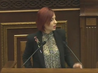 Իմ դեմքին շպրտեցիք պոպուլիստ բառը, բայց դա չկոծկեց ձեր դիլետատնությունը. Անի Սամսոնյանը՝ Գեւորգ Պապոյանին