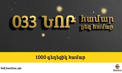 033 կոդով Beeline-ի գեղեցիկ հեռախոսահամարները կարելի է ձեռք բերել զեղչով