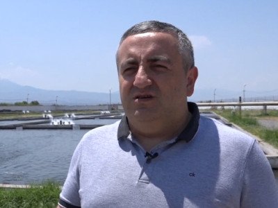 Անասնահամաճարակային մշտադիտարկում ձկնաբուծարաններում. Հայտնաբերվել են խախտումներ