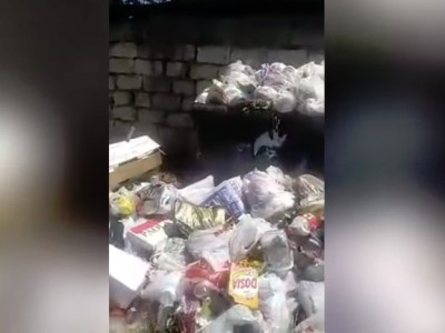 «Կրծողները բազմանում են, սկսում են աղբը տարածել»․ Սոնա Աղեկյանը՝ համաճարակի վտանգի մասին