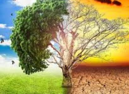 Մոտ 50 մլն տոննա ածխաթթու գազ հայտնվել է մթնոլորտում Արկտիկայի հրդեհների պատճառով