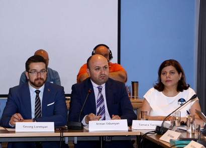 Council of Europe to assist Armenia in revising national youth strategy