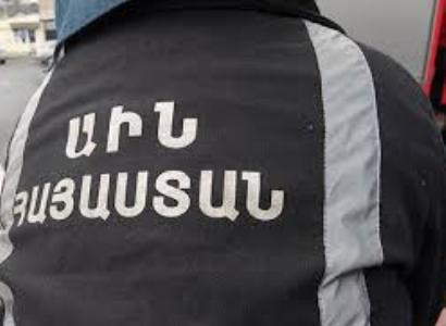Ելփինում եւ Շատինում արջը վնասներ է հասցրել