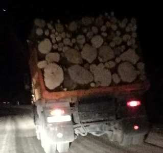 Սա մեր բնության վերացման քայլեր են․ Սոֆյա Հովսեփյան (ֆոտո)