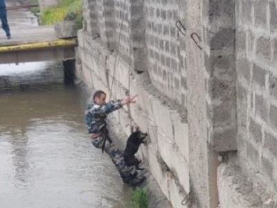 Փրկարարները 2 շուն են դուրս բերել Խարբերդի ջրանցքից