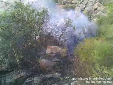 Աղիտու գյուղում մոտ 10 հա բուսածածկույթ է այրվել