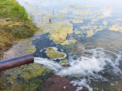 Վարշավան բախվել է էկոլոգիական ճգնաժամի Վիսլայում աղտեղաջրերի հայտնվելու պատճառով