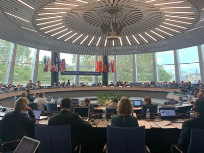 Armenia Ombudsman speaks at session of CoE Committee of Ministers
