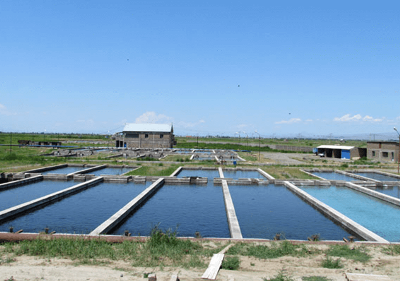 «Փաստ». «Որ ունքը սարքելու փոխարեն աչքն էլ չհանենք». Կառավարությունը լուրջ գործընթաց է սկսում