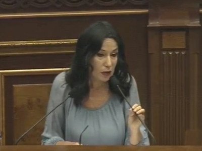 Armenia intends to toughen punishment for animal cruelty