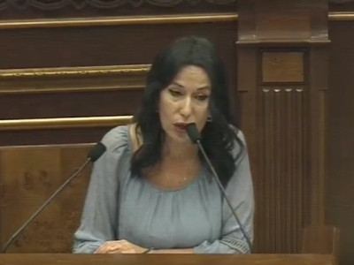 «Մատաղը անելը չի դիտարկվում դաժան վերաբերմունք». Նաիրա Զոհրաբյանի պատասխանը՝ Համազասպ Դանիելյանին