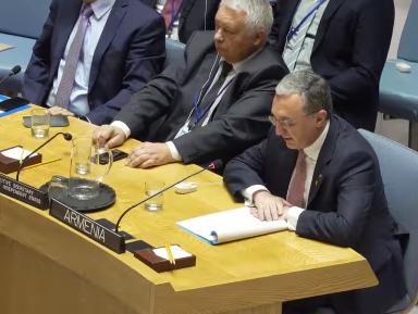 Armenia FM delivers remarks at UN Security Council meeting