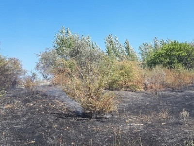 Դիլիջան քաղաքից դեպի թունել տանող հատվածում հրդեհ է բռնկվել