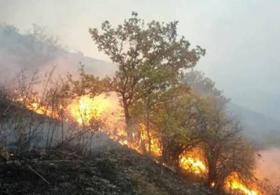 «Հրապարակ». «Եթե թույլ չտաք հատել, վառելու ենք». Իջեւանում անտառն այրում են նրանք, որոնց ամռանն արգելվեց անտառահատումը
