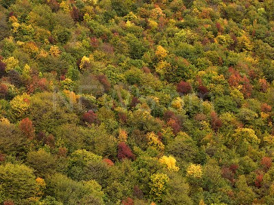 Մինչեւ ամսվա վերջը ցրտեր չունենք. դրա մասին անգամ չհիշեք. Գագիկ Սուրենյան