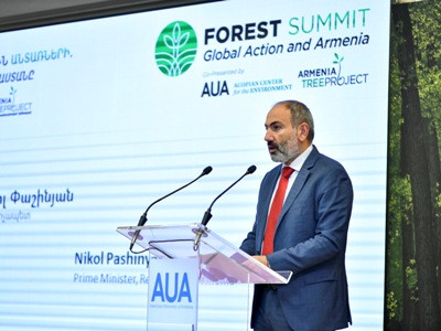 Մարգահովիտի անտառի տարածքում «Մուգարի պուրակ» կստեղծվի. Փաշինյան