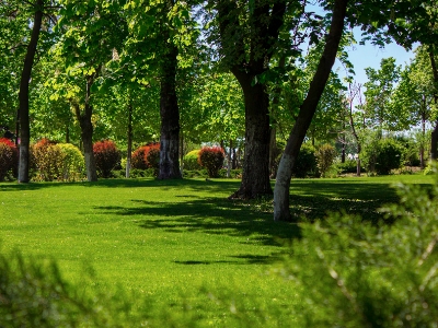 Կոռուպցիոն չարաշահումներ՝ «Արաբկիր» մանկական զբոսայգում հողամասերի տրամադրման գործընթացներում