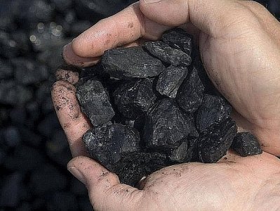 Հայաստանի անտառների պահպանությանն ուղղված մեր քաղաքականությունը արդյունավետ է.Փաշինյան