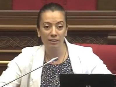 Ի՞նչ ազդեցություն ունի քրեական ենթամշակույթը բանակում․ «Իմ քայլի» պատգամավորը թվեր ներկայացրեց