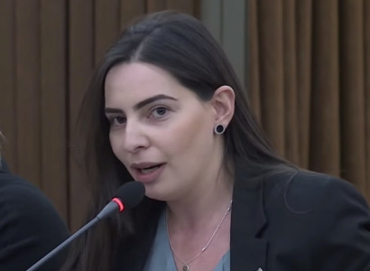 «Երևան» հիմնադրամը ենթարկվել է պերֆորմանսի․ Թեհմինա Վարդանյան